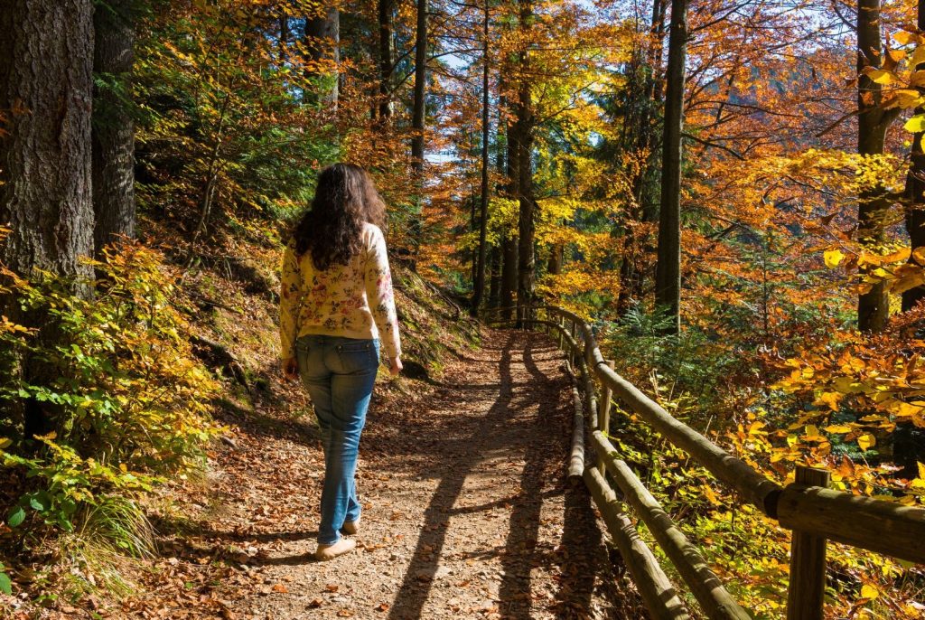 A woman walking through an autumnal forest.